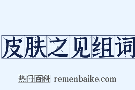 皮肤之见组词是什么意思的图片